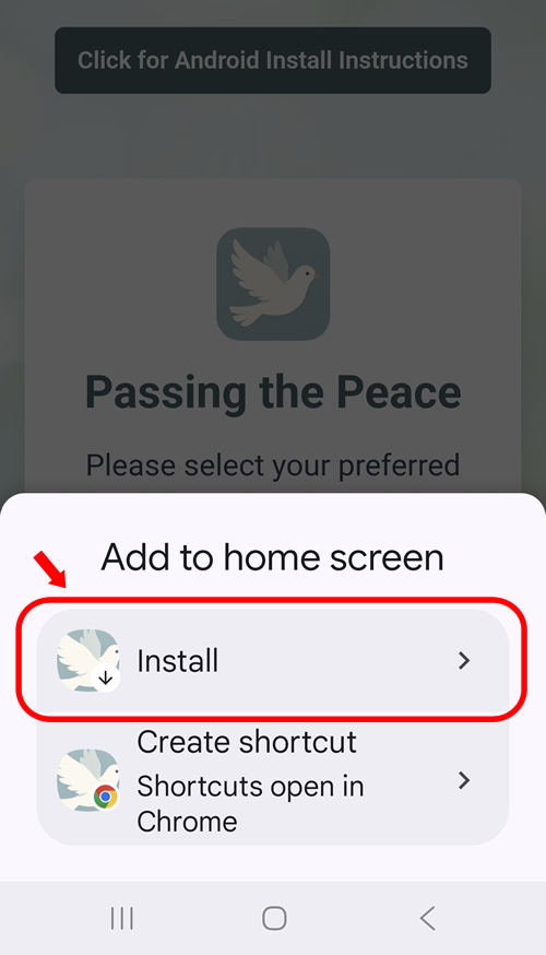 Step 3: Tap Install