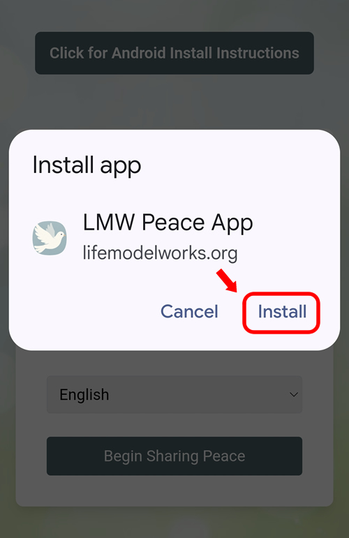 Step 4: Tap Install to confirm