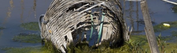broken basket