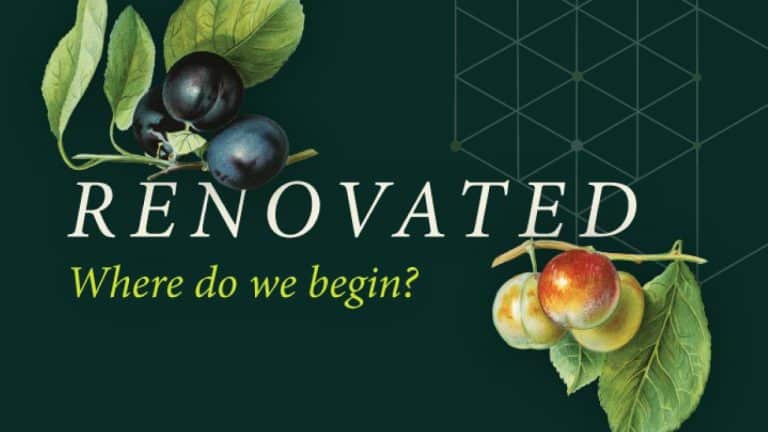 Renovated – Where do we begin?